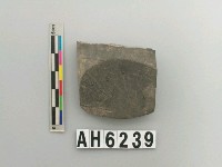 藏品(磨製有段石錛)的圖片